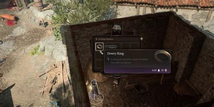 Baldurs Gate 3: Dowry Location