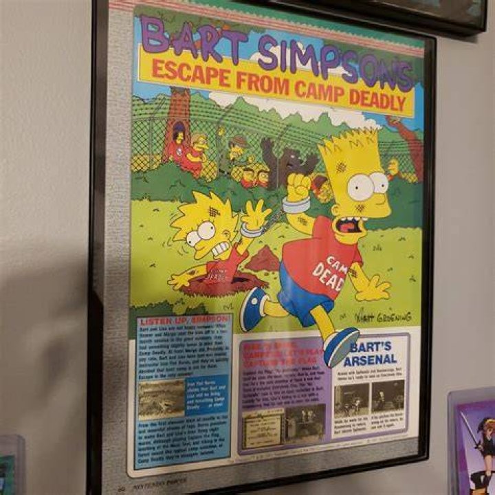 Bart Simpsons Escape From Camp Deadly: A Retrospective