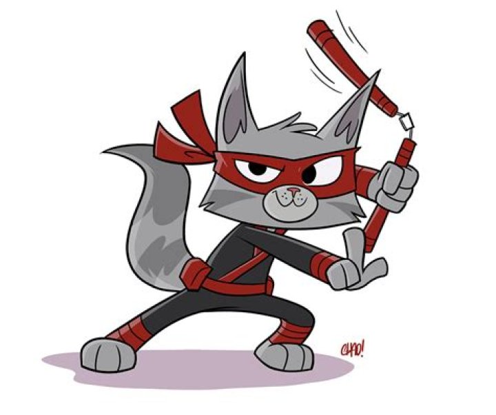 Ninja Swinging Into Our Hearts
